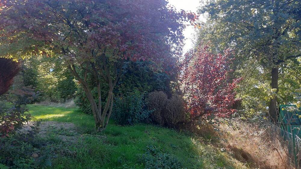 Einfamilienhaus Waldbröl - 6 Zimmer, 196 m&sup2;, 570.000&euro; | Angebot:25735474