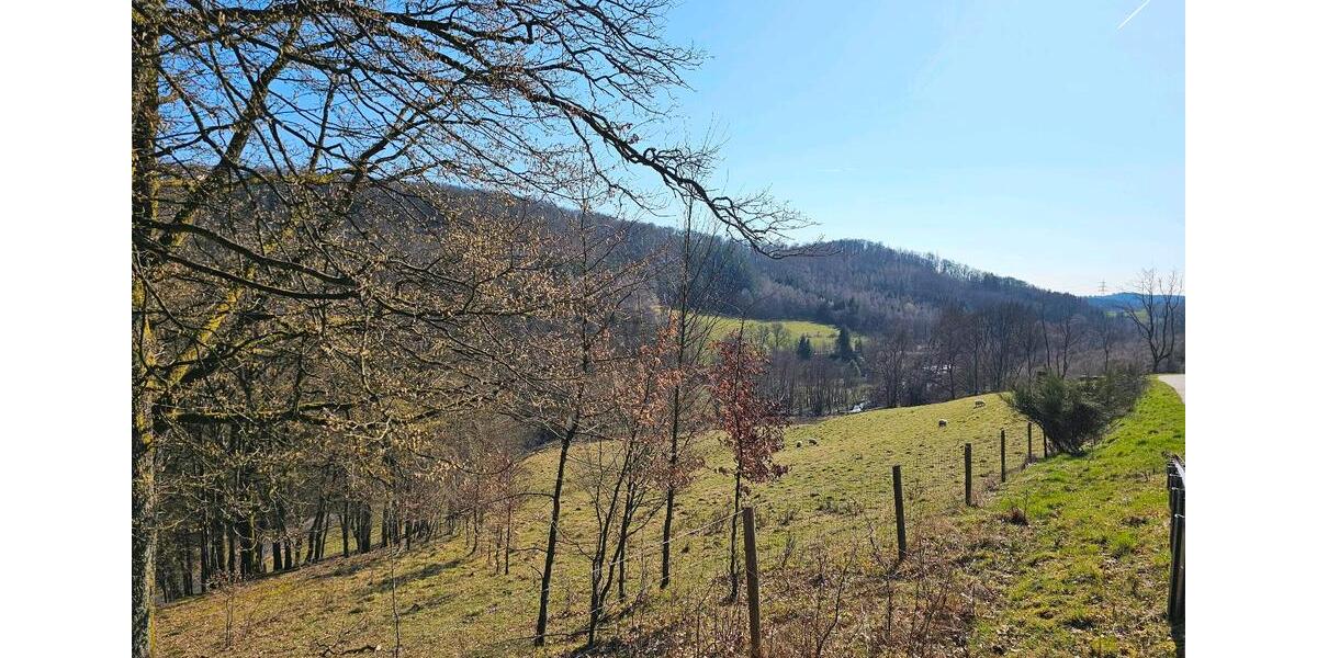 Grundstück Reichshof - 33.333&euro; | Angebot:25764344