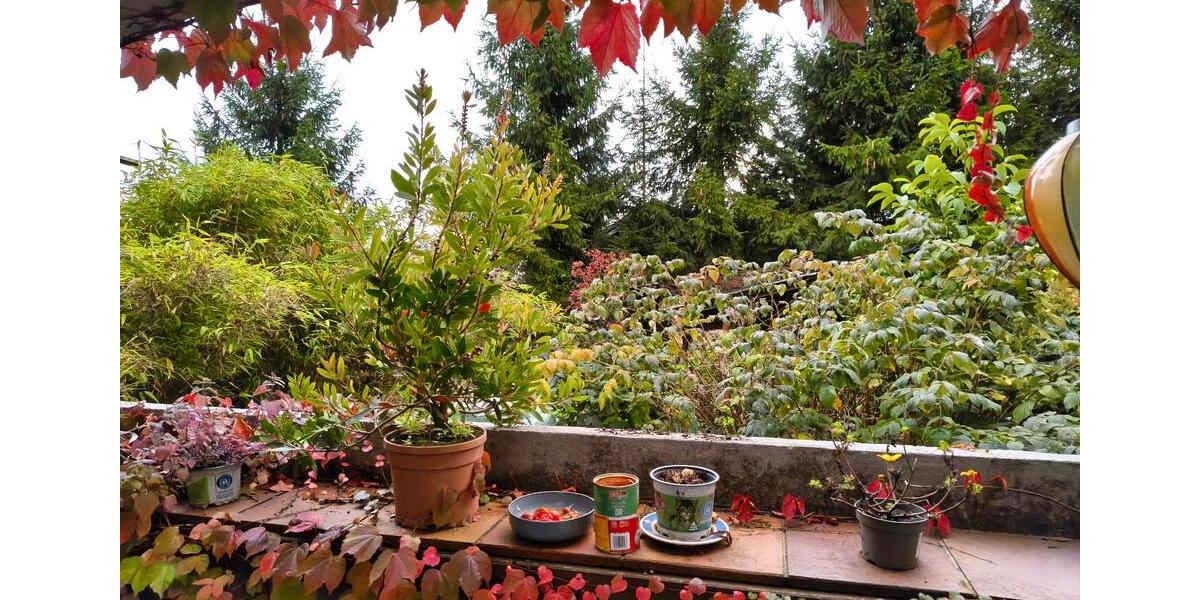 Einfamilienhaus Morsbach - 7 Zimmer, 206 m&sup2;, 348.000&euro; | Angebot:26024430