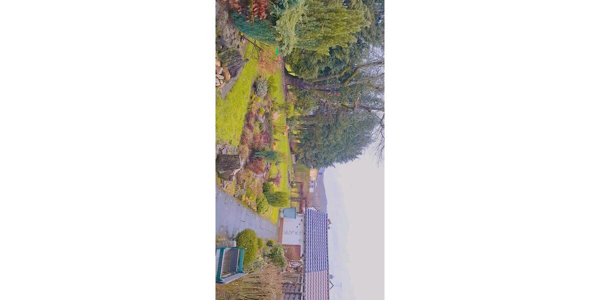 Erdgeschoßwohnung Windeck - 2 Zimmer, 65 m&sup2;, 650&euro; | Angebot:25960271