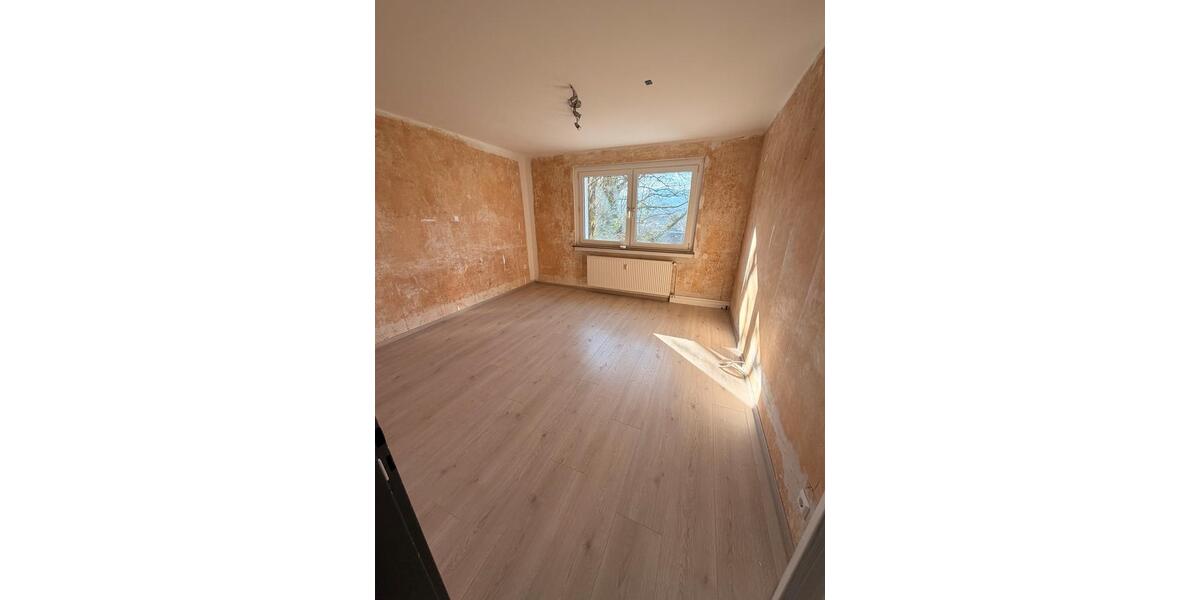 Etagenwohnung Werdohl - 3 Zimmer, 64 m&sup2;, 480&euro; | Angebot:25968678