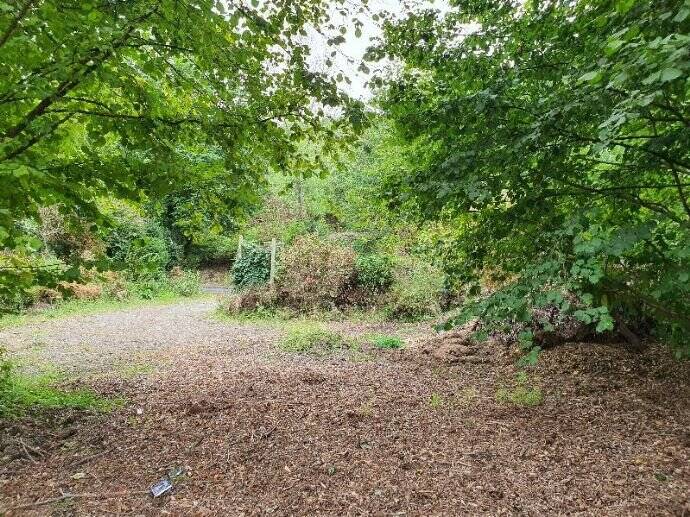 Grundstück Morsbach Morsbach, Sieg - 40.000&euro; | Angebot:25737028