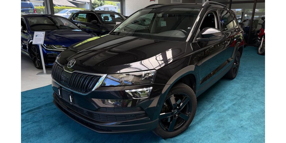 Skoda Karoq 189.839 km 14.590 &euro; Freudenberg 57258