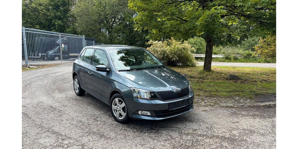 Skoda Fabia 36.000 km 9.000 &euro; Lüdenscheid 58511
