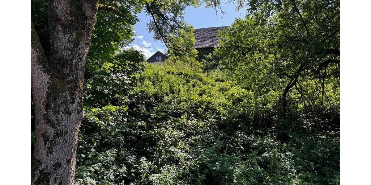 Grundstück Morsbach Rhein - 49.000&euro; | Angebot:25691902