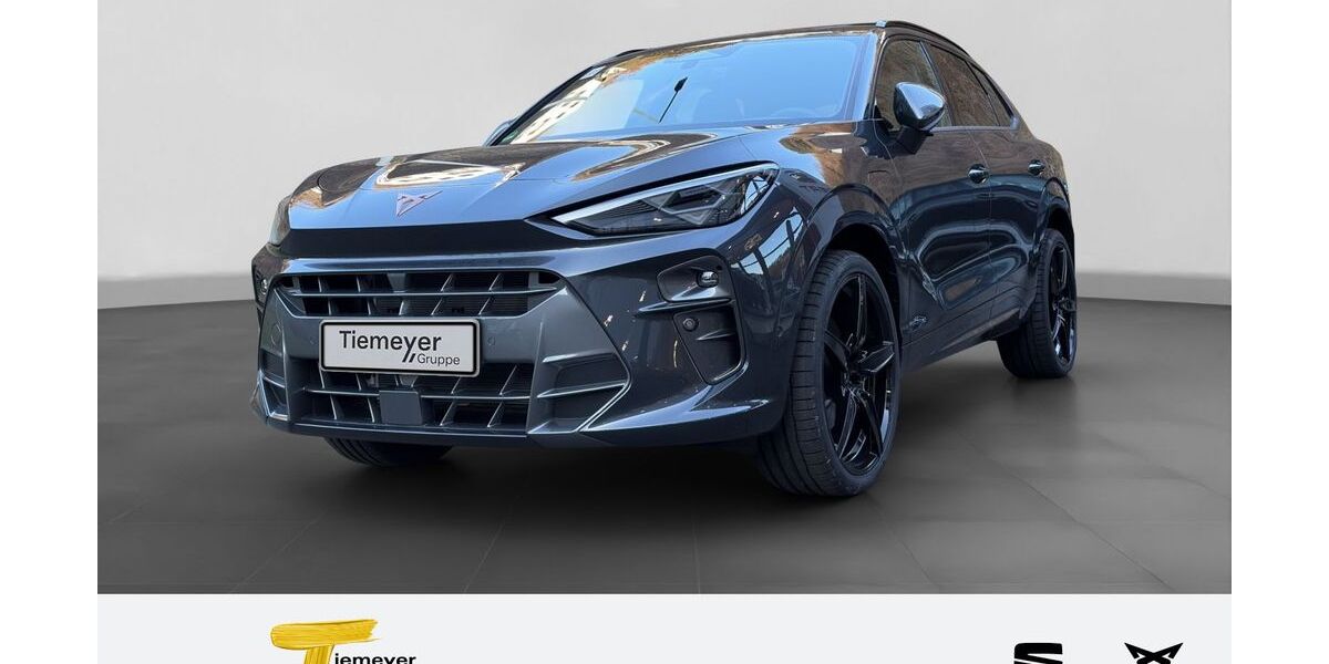 Cupra Terramar 1.999 km 54.980 &euro; Plettenberg 58840