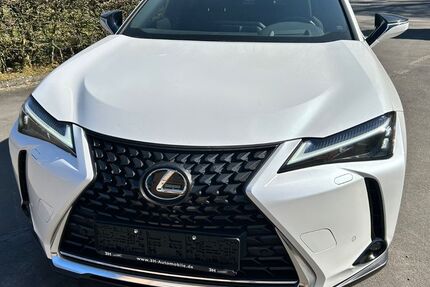 Lexus UX 21.247 km 31.199 &euro; Kürten 51515