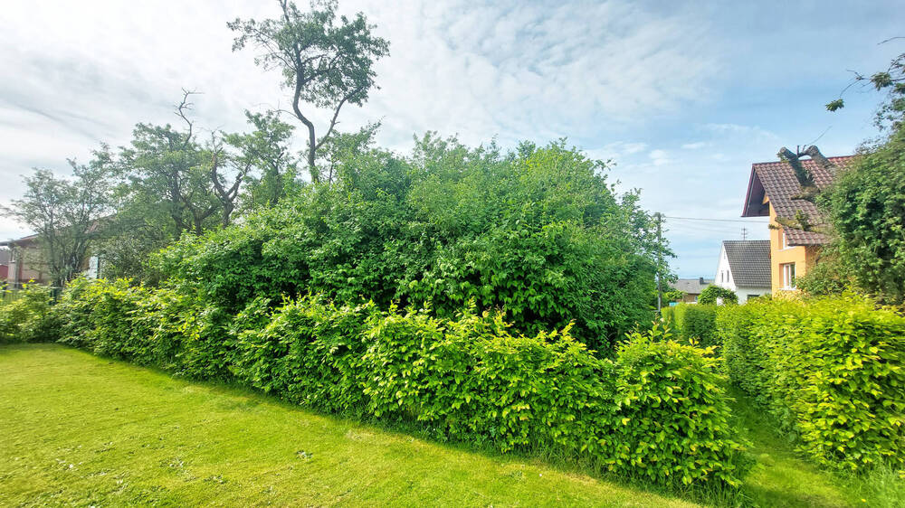 Grundstück Windeck / Hurst Hurst - 65.000&euro; | Angebot:25738113