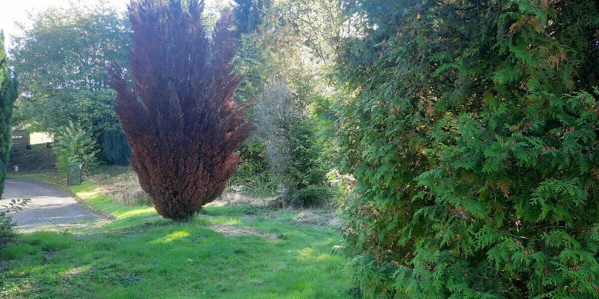 Einfamilienhaus Waldbröl - 6 Zimmer, 196 m&sup2;, 570.000&euro; | Angebot:25735474