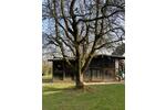 Einfamilienhaus Much - 7 Zimmer, 160 m&sup2;, 425.000&euro; | Angebot:26913508