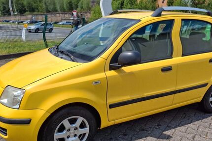 Fiat Panda 239.000 km 1.499 &euro; Wiehl 51674