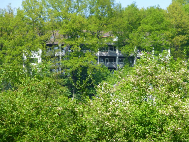 4 Zimmer, Küche, Bad, Gäste-WC, 2x Balkon SW. EGre - 4- Lüdenscheid Brügge | Angebot:27142339