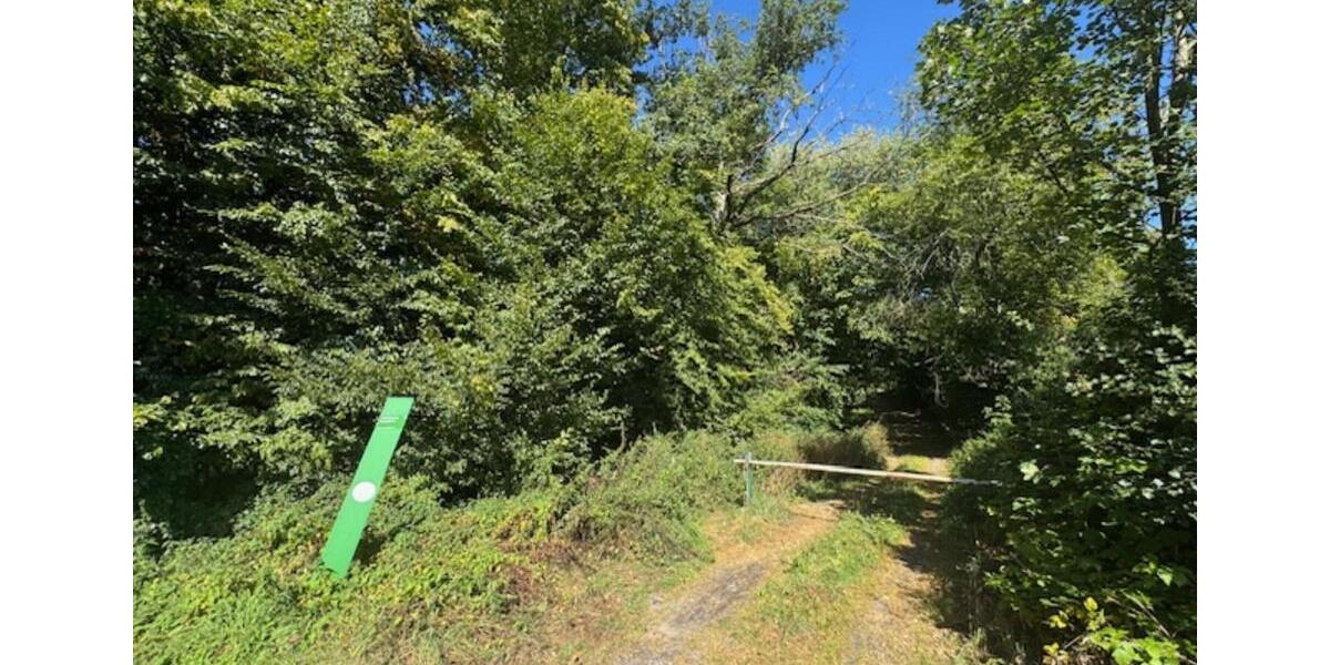 Etagenwohnung Plettenberg - 3 Zimmer, 72 m&sup2;, 500&euro; | Angebot:25920247