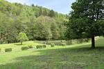 Einfamilienhaus Attendorn - 380.000&euro; | Angebot:26961301