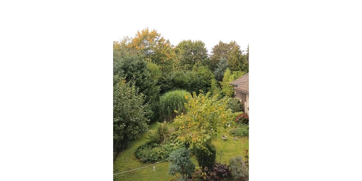 Erdgeschoßwohnung Breckerfeld - 3 Zimmer, 83 m&sup2;, 650&euro; | Angebot:27548821