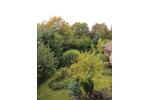 Erdgeschoßwohnung Breckerfeld - 3 Zimmer, 83 m&sup2;, 650&euro; | Angebot:27548821