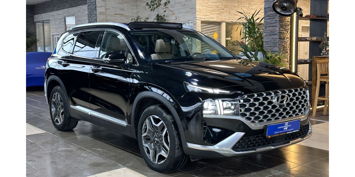 Hyundai SANTA FE 95.184 km 28.000 &euro; Eitorf 53783