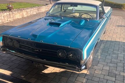 Ford Andere 100.000 km 25.000 &euro; Birken-Honigsessen 57587