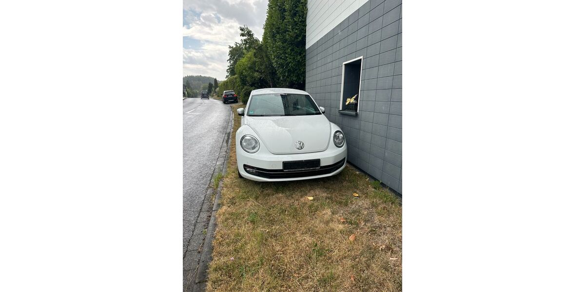 VW Beetle 147.200 km 7.999 &euro; Windeck 51570