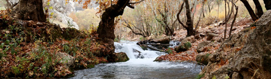 AquaMagis Plettenberg Sauerland Erlebnisbad Wasser Familie