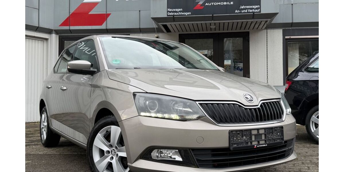 Skoda Fabia 103.000 km 11.800 &euro; Plettenberg 58840