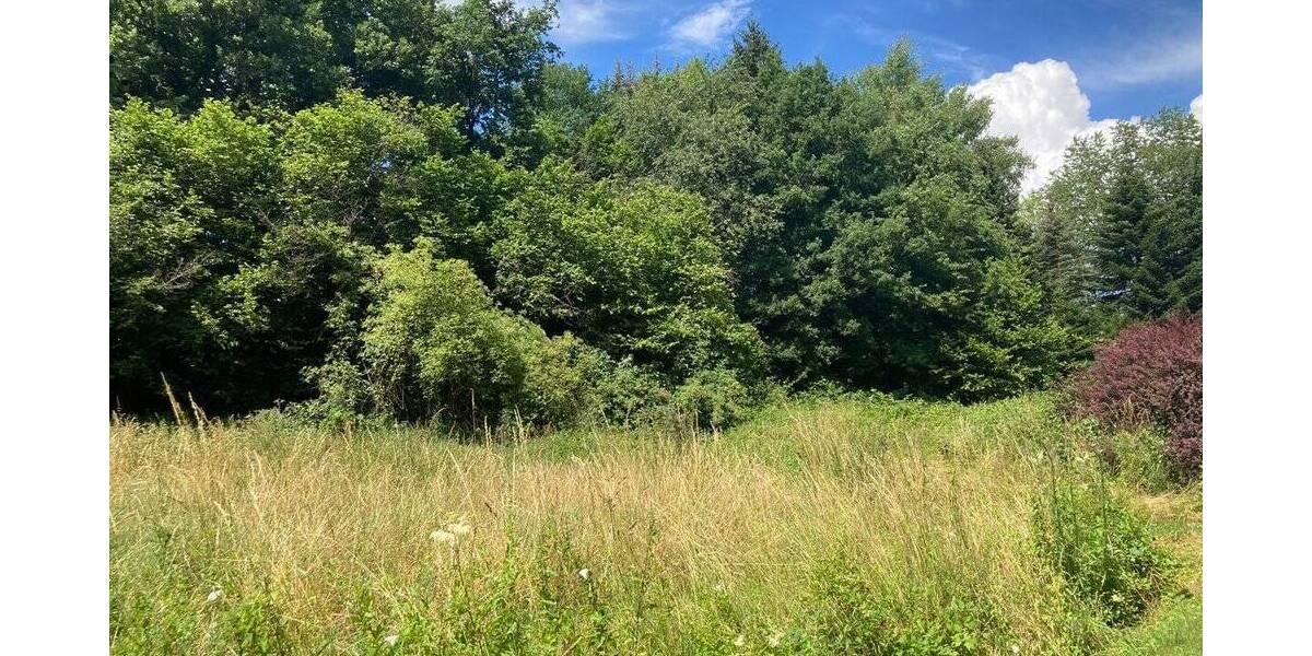 Grundstück Windeck Rosbach - 149.000&euro; | Angebot:25691786