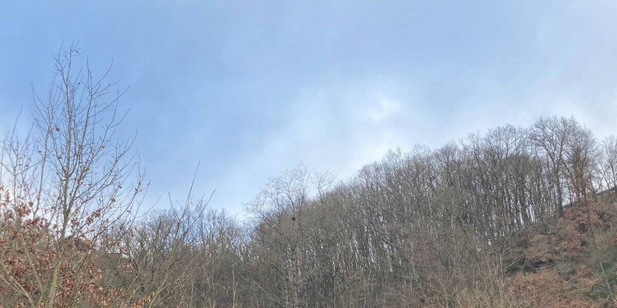 Grundstück Windeck Opperzau - 21.500&euro; | Angebot:25691787