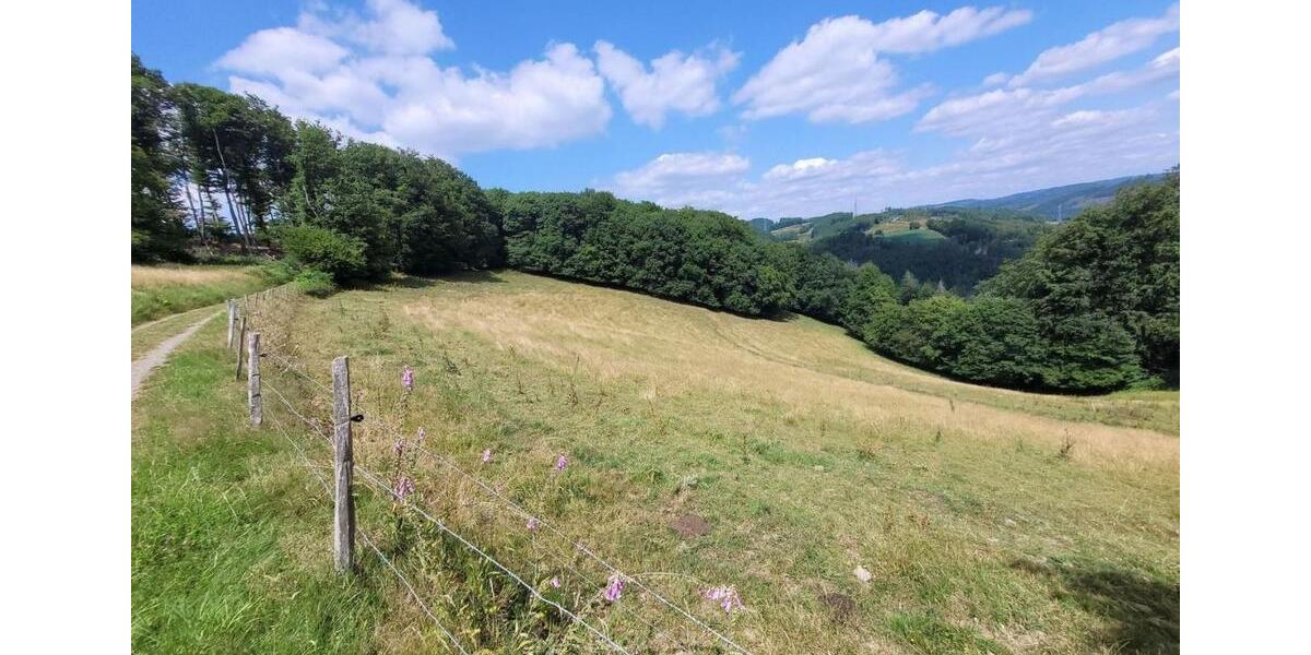 Doppelhaushälfte Herscheid - 249.000&euro; | Angebot:25953335