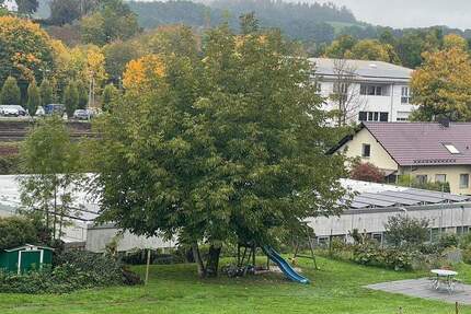 Grundstück Wissen - 59.000&euro; | Angebot:25665181