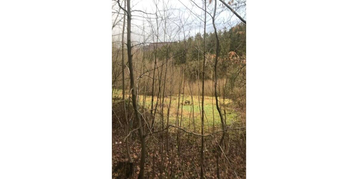 Grundstück Werdohl - 220.000&euro; | Angebot:25660783