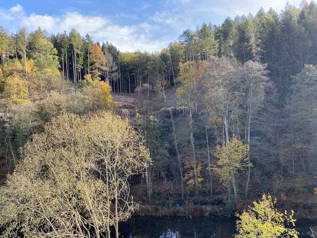 Etagenwohnung Lüdenscheid Augustenthal - 3 Zimmer, 89 m&sup2;, 670&euro; | Angebot:24708498