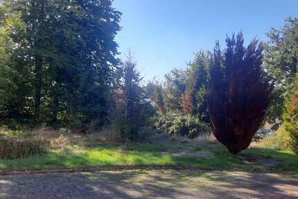 Grundstück Waldbröl - 120.000&euro; | Angebot:10149438