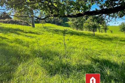 Grundstück Morsbach - 75.000&euro; | Angebot:25510886