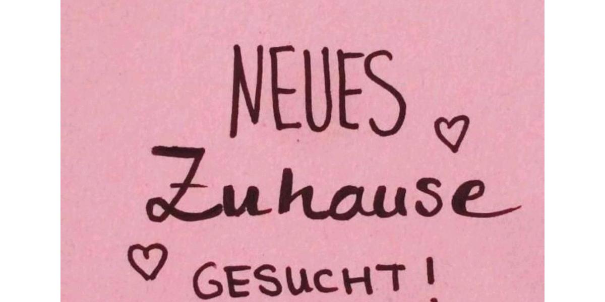 Etagenwohnung Lüdenscheid Staberg - 5 Zimmer, 90 m&sup2;, 700&euro; | Angebot:27597387