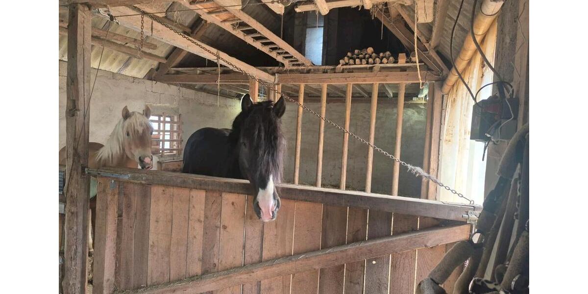 Bauernhaus, Landhaus Meinerzhagen - 4 Zimmer, 180 m&sup2;, 615.000&euro; | Angebot:24292510