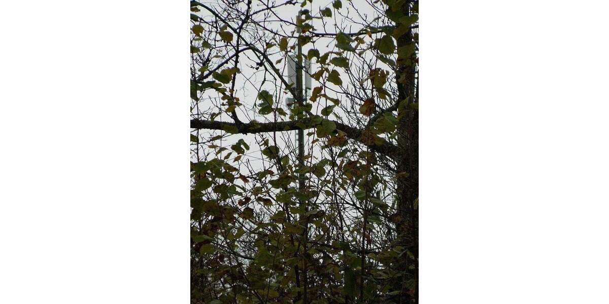 Etagenwohnung Lüdenscheid Brüninghausen - 4 Zimmer, 97 m&sup2;, 500&euro; | Angebot:25697792