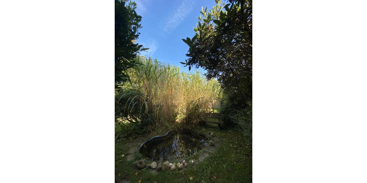 Erdgeschoßwohnung Gummersbach Hepel - 2 Zimmer, 55 m&sup2;, 590&euro; | Angebot:27581332