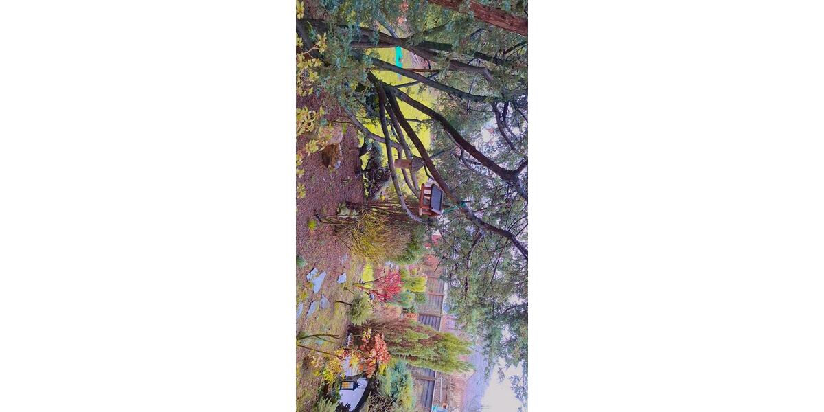 Erdgeschoßwohnung Windeck - 2 Zimmer, 65 m&sup2;, 650&euro; | Angebot:25960271