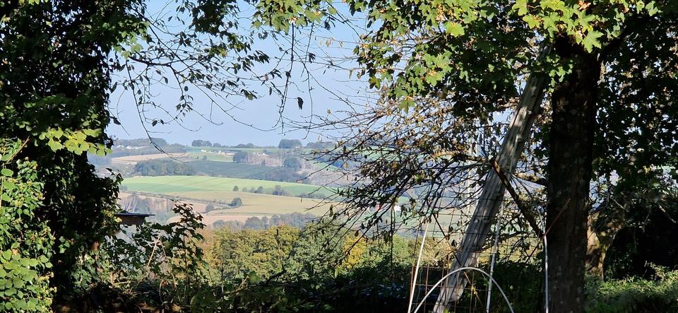 Einfamilienhaus Overath - 6 Zimmer, 121 m&sup2;, 397.000&euro; | Angebot:24563305