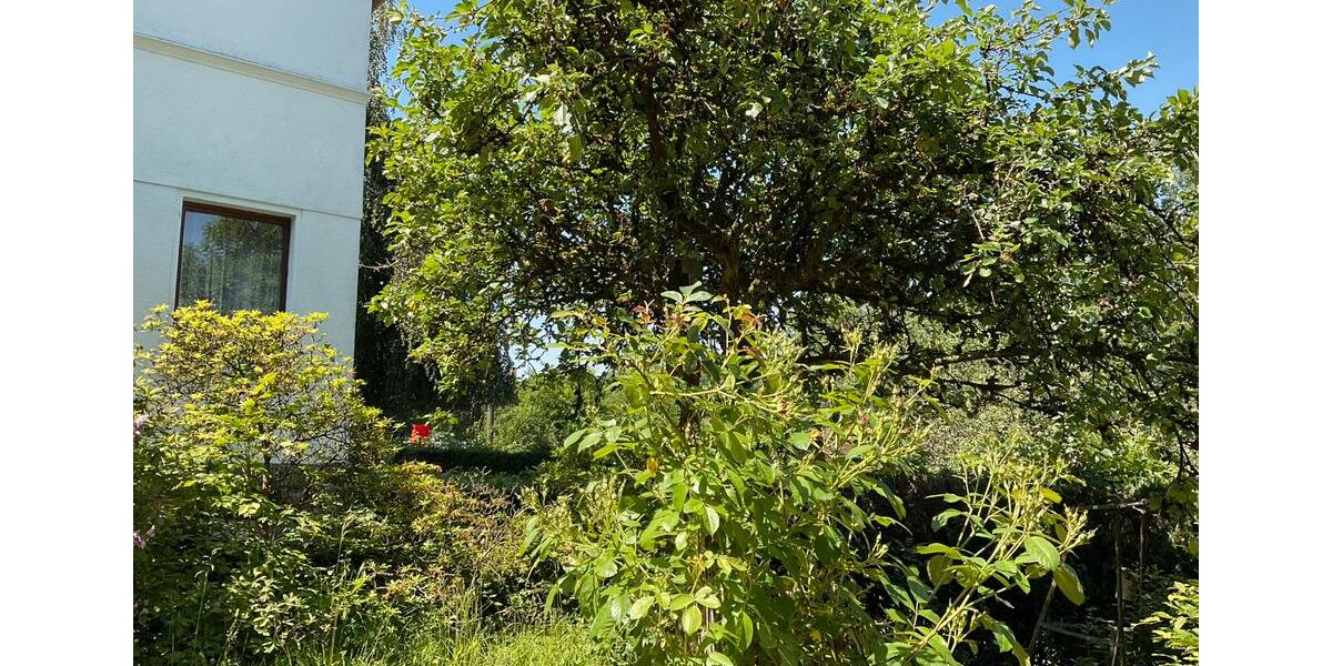 Einfamilienhaus Waldbröl - 8 Zimmer, 150 m&sup2;, 220.000&euro; | Angebot:26061112