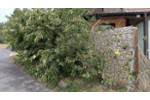 Erdgeschoßwohnung Eitorf - 2 Zimmer, 68 m&sup2;, 249.000&euro; | Angebot:27158264