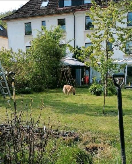 Doppelhaushälfte Lüdenscheid Augustenthal - 15 Zimmer, 260 m&sup2;, 350.000&euro; | Angebot:26120872