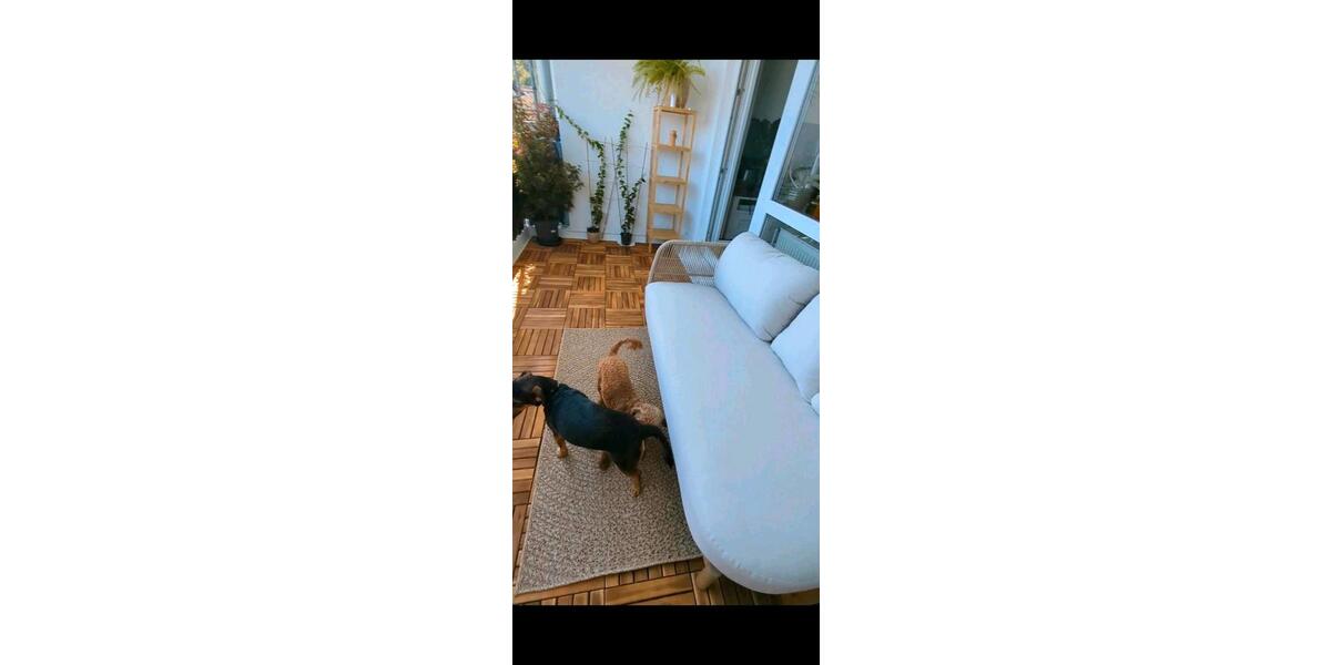 Erdgeschoßwohnung Olpe - 2 Zimmer, 55 m&sup2;, 920&euro; | Angebot:25976792