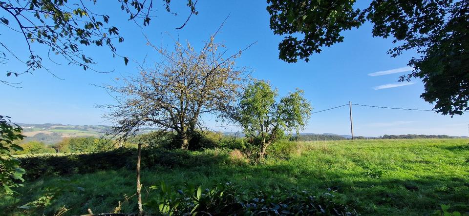 Einfamilienhaus Overath - 6 Zimmer, 121 m&sup2;, 397.000&euro; | Angebot:24563305