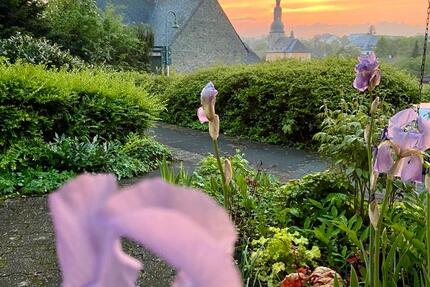 Wohnung Reichshof - 1 Zimmer, 39 m&sup2;, 780&euro; | Angebot:24307346