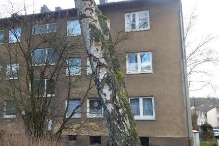 Wohnung Lüdenscheid - 3 Zimmer, 66 m&sup2;, 475&euro; | Angebot:22038852