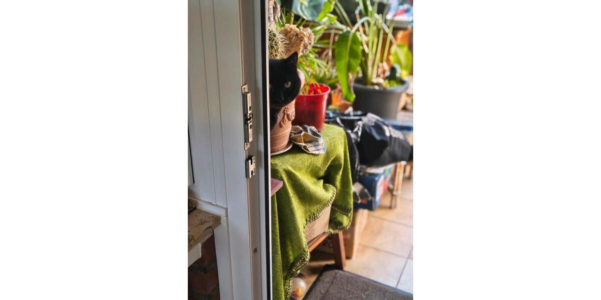 Einfamilienhaus Morsbach - 7 Zimmer, 206 m&sup2;, 348.000&euro; | Angebot:26024430