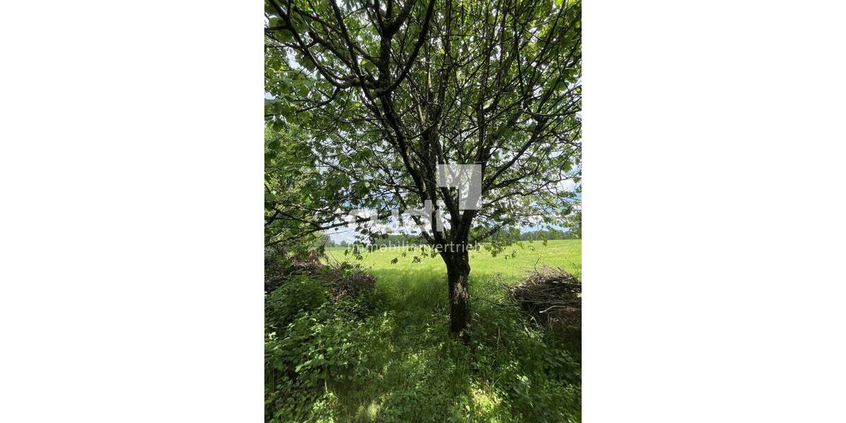 Einfamilienhaus Ruppichteroth Kesselscheid - 340.000&euro; | Angebot:26806942
