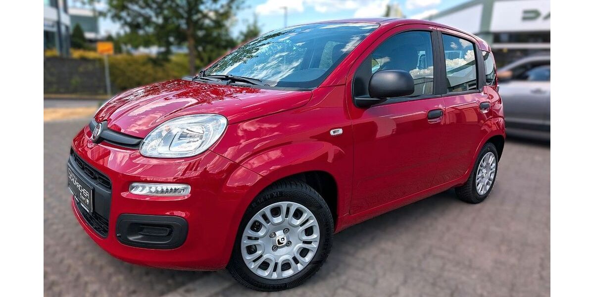Fiat Panda 6.600 km 14.490 &euro; Wiehl 51674