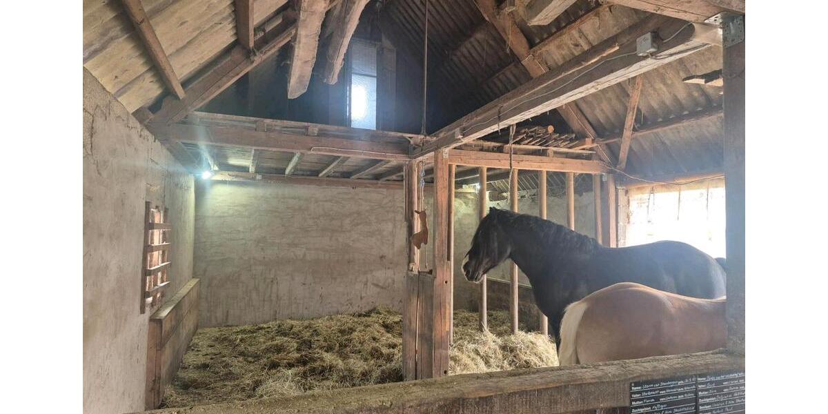 Bauernhaus, Landhaus Meinerzhagen - 4 Zimmer, 180 m&sup2;, 599.000&euro; | Angebot:25973710
